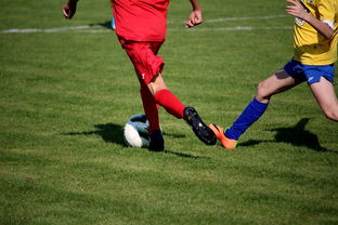 KAIYUNAPP-篮球训练计划科学制定及执行效果跟踪研究，简述篮球训练计划制定步骤