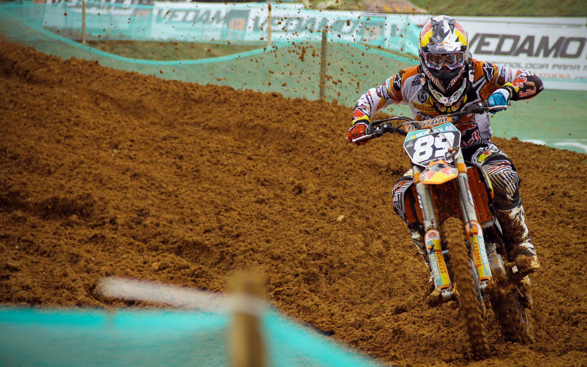 史上最年轻的“冠军得主”揭秘，未来之星崭露头角，历史最年轻总冠军